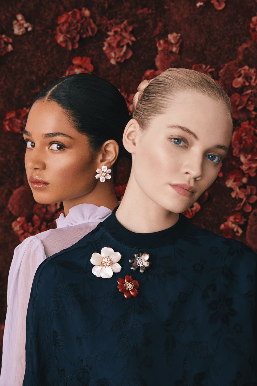 ROSE DE NOEL