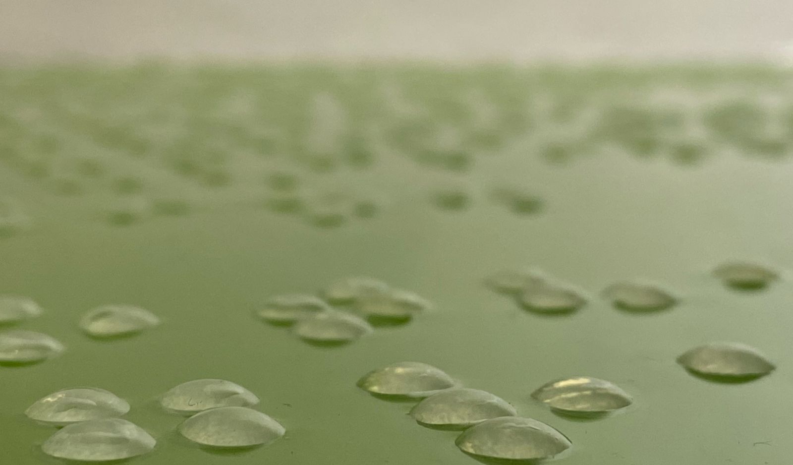 Compass Green (2023); 3m vinyl dots, synthetic Nippon Paint and resin on board.