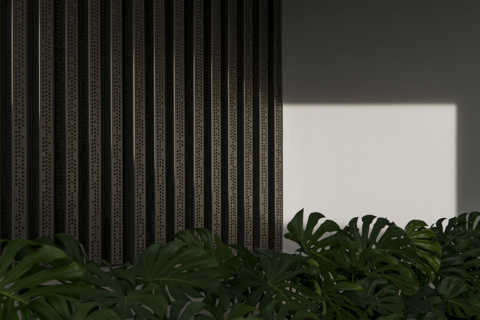 Light, shade and greenery