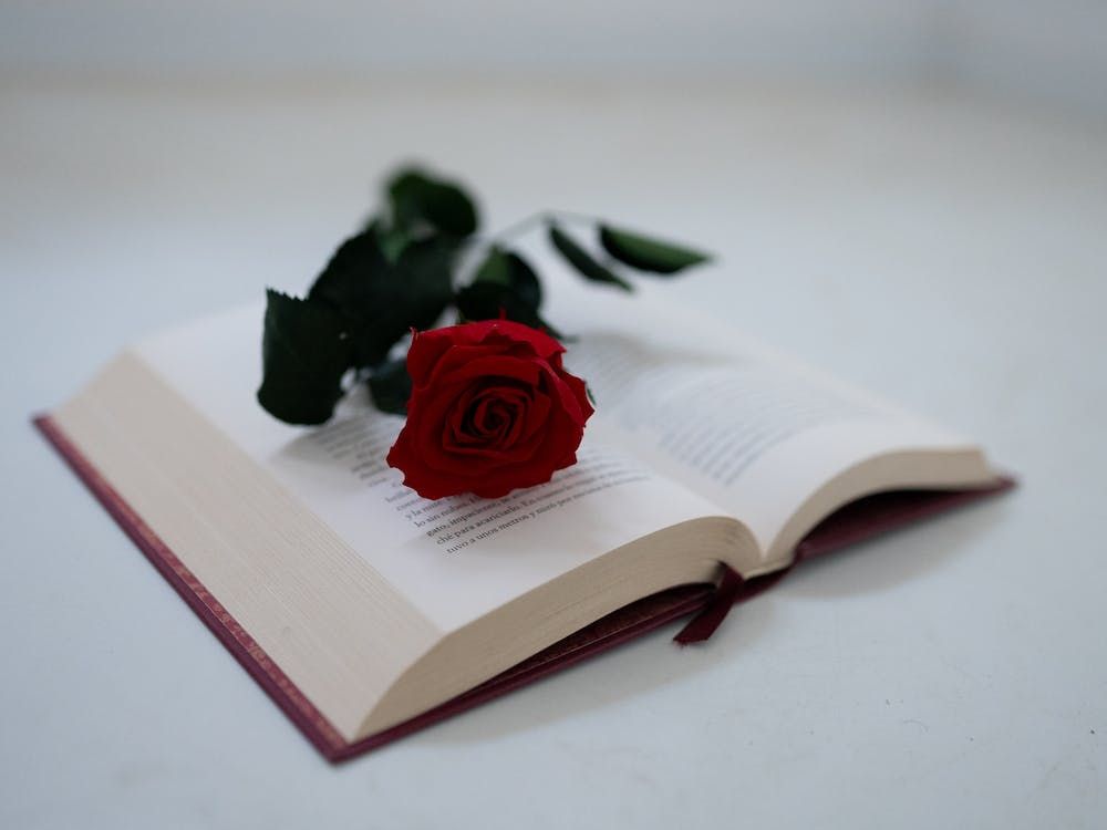 Buy a book, get a rose (Photo: Dario Fernandez Ruz/Pexels)