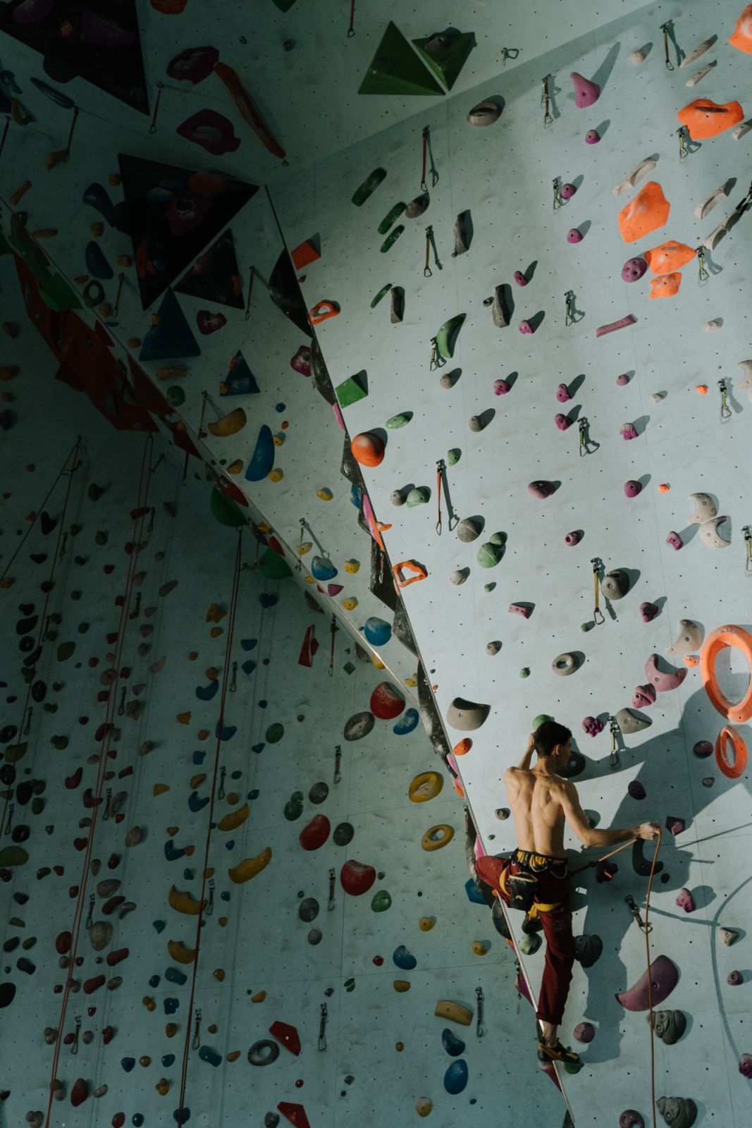 Bouldering (Photo by cottonbro studio/Pexels.com)