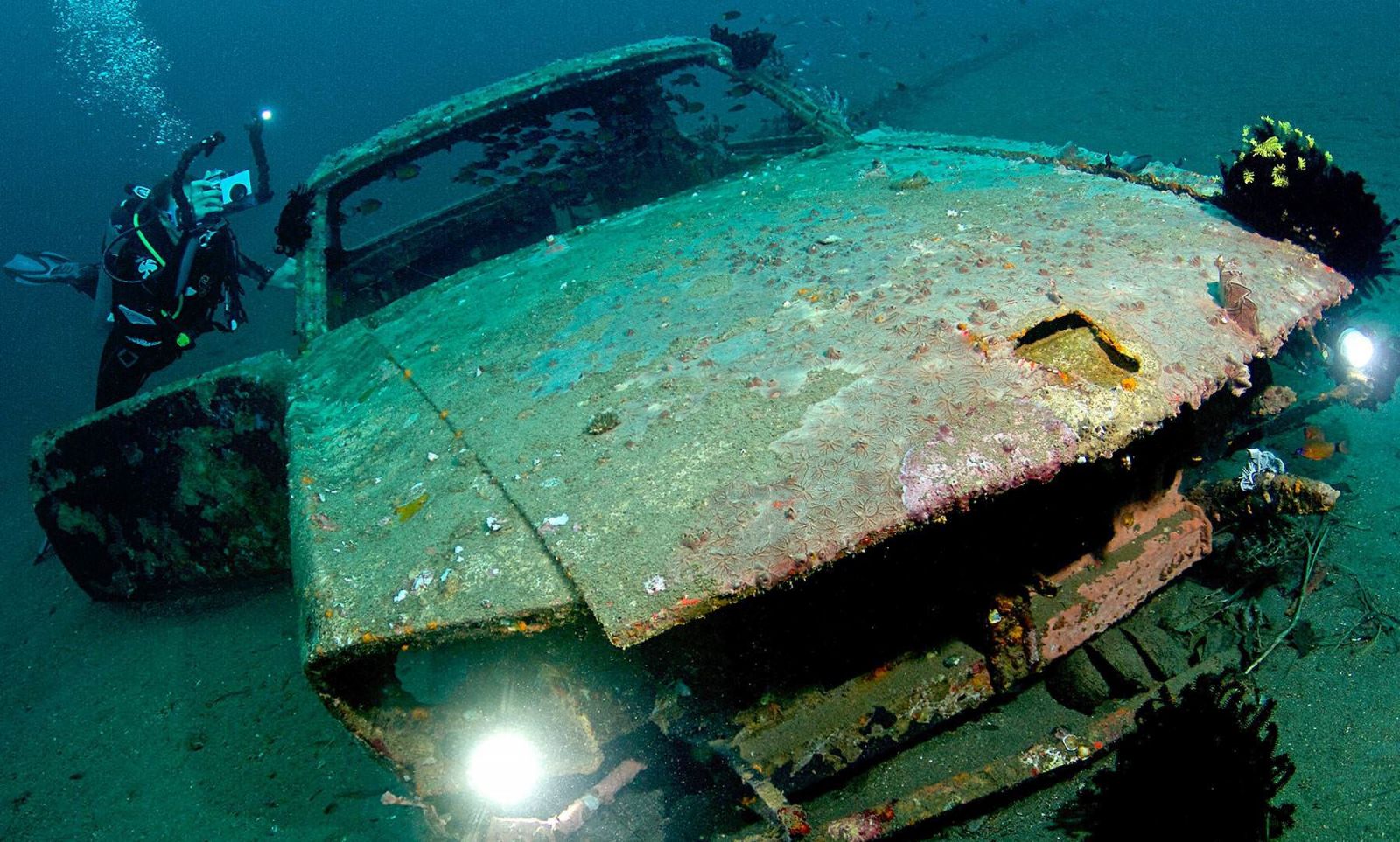Car Wrecks (Photo: Visitnegrosoriental.com)