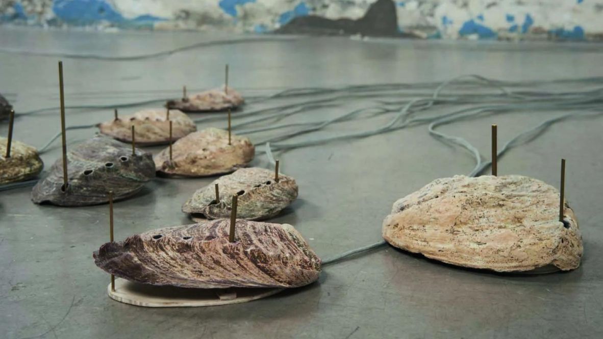 Wing Po So’s ‘Sea Ear Hi-hat’ (2020) on view at ‘Signals’ exhibition at Para Site (Photo: courtesy of Blindspot Gallery)