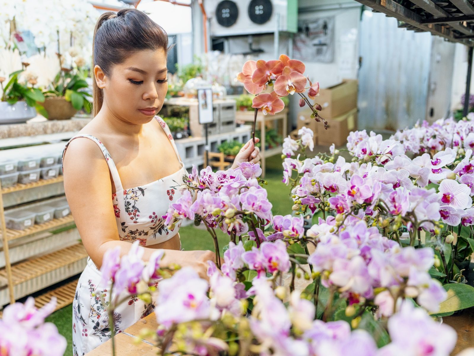 Mother's Day Florist Countdown