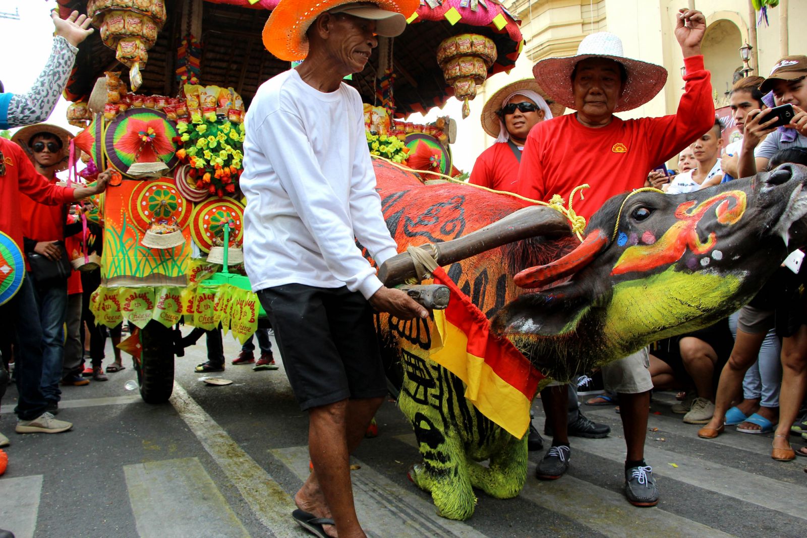PHILIPPINES - 2017/05/14: Farmer command his trained carabao to kneel down in front of San Isidro Labrador church to give respect and thankful for the bountiful harvest during the Kneeling Carabao Festival in Pulilan. More than 800 carabao's parade in the street of Pulilan, Bulacan (North province of Manila) some of them are came from nearby provinces. (Photo by Gregorio B. Dantes Jr./Pacific Press/LightRocket via Getty Images)