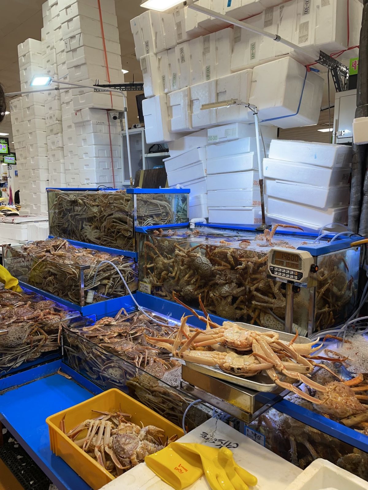 Crab at Noryangjin Fish Market