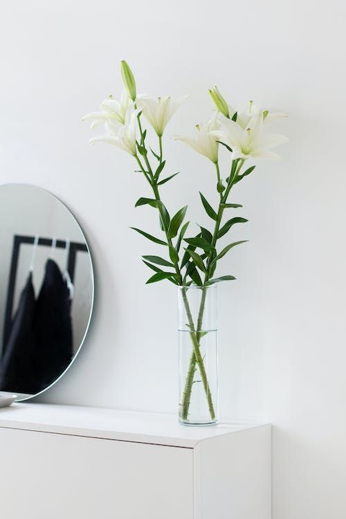 Florist Nina Garcia of Majorelle Floral Design tells us how to keep fresh flowers longer (Photo: Sarah Dorweiler/Pexels)