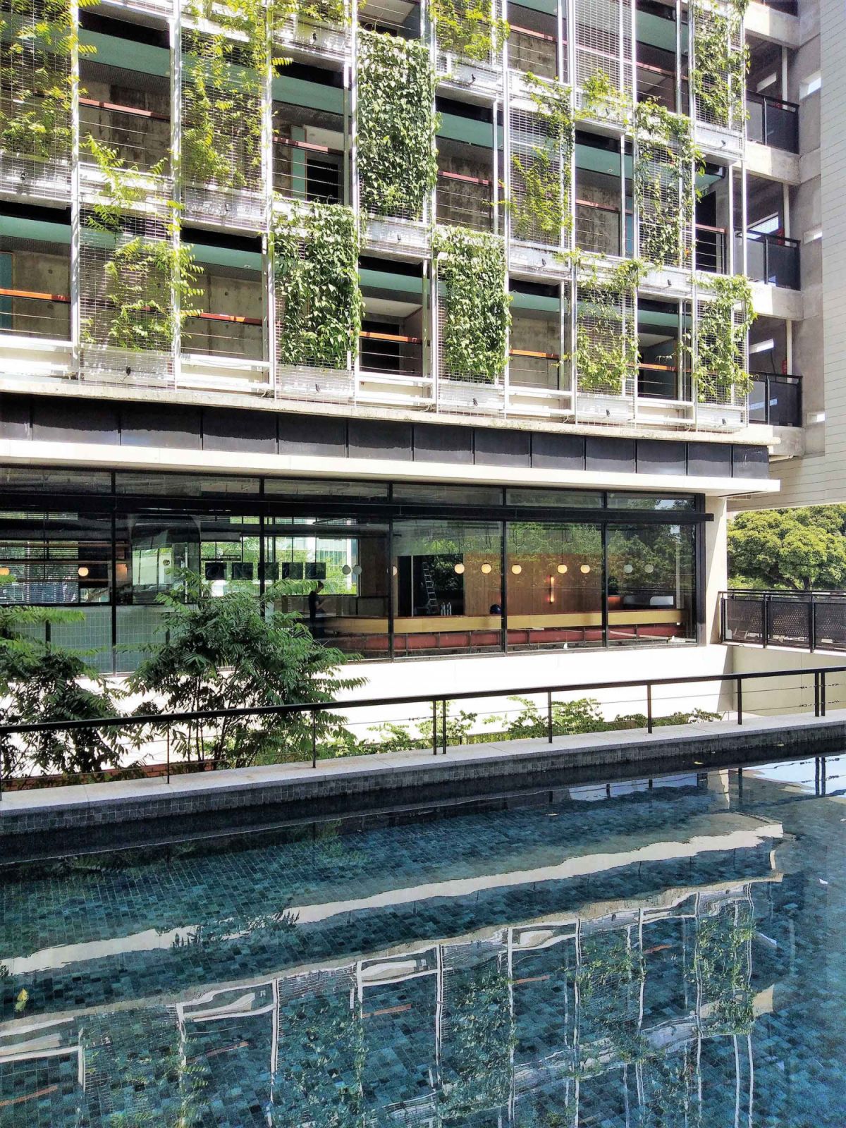 The pool at KLoé Hotel