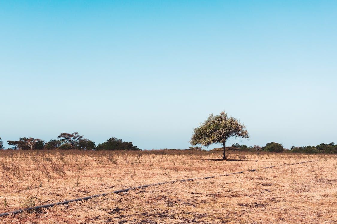 (Photo: Rizknas/Pexels)