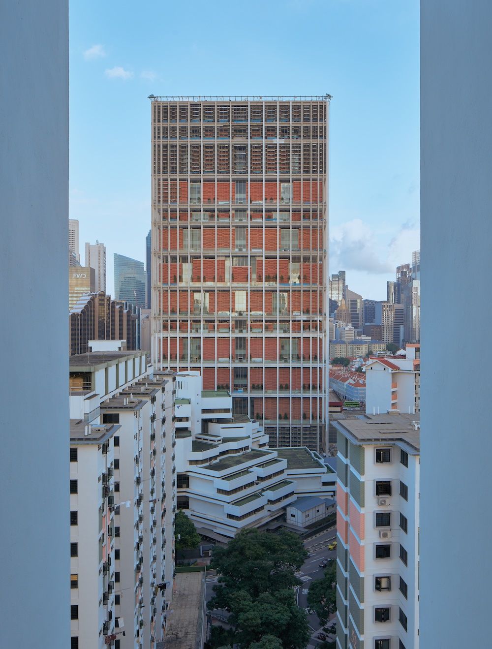 Photo: Benny Loh