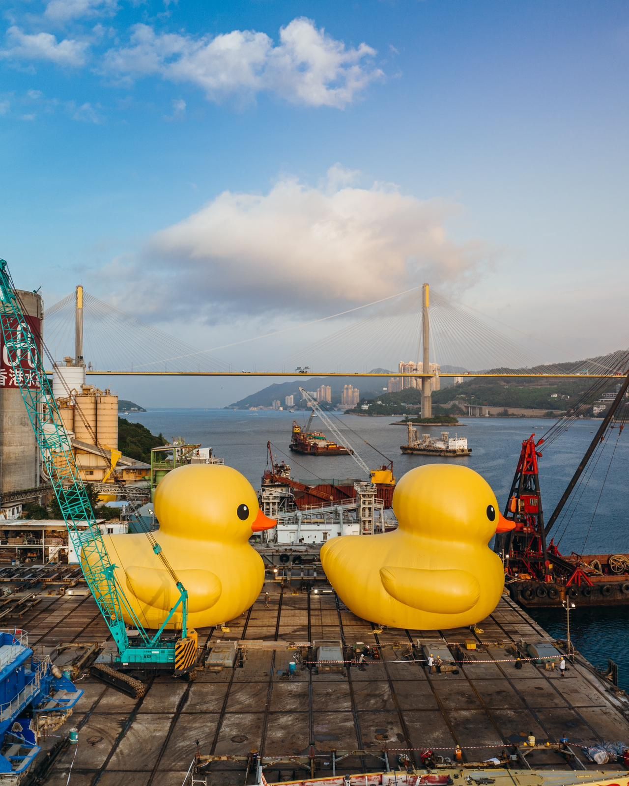 (Photo by Double Ducks 2023)