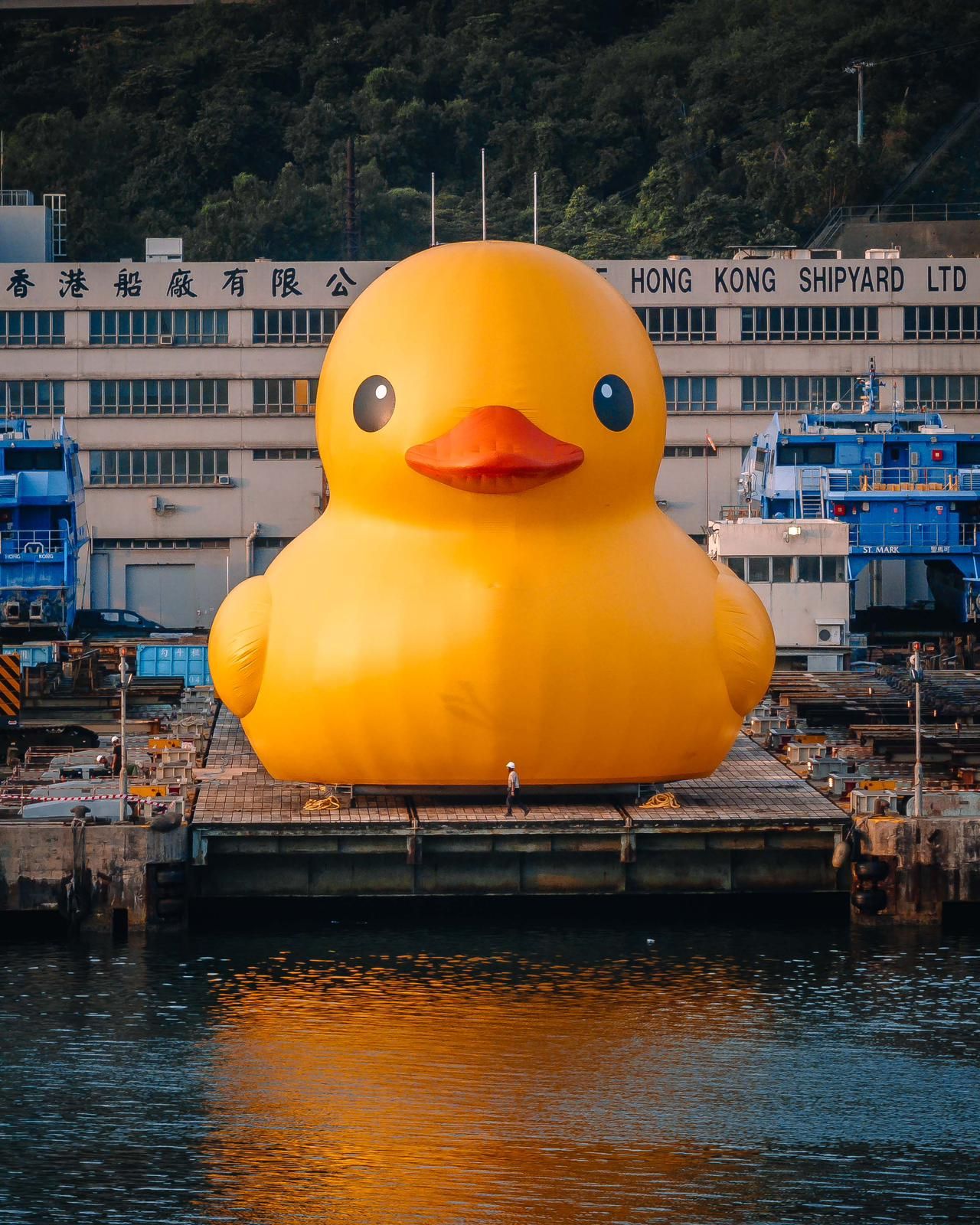 (Photo by Double Ducks 2023)