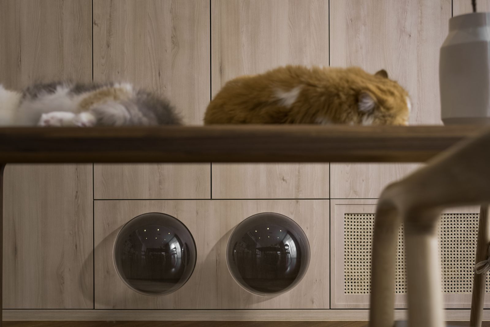 The cats are enjoying the space