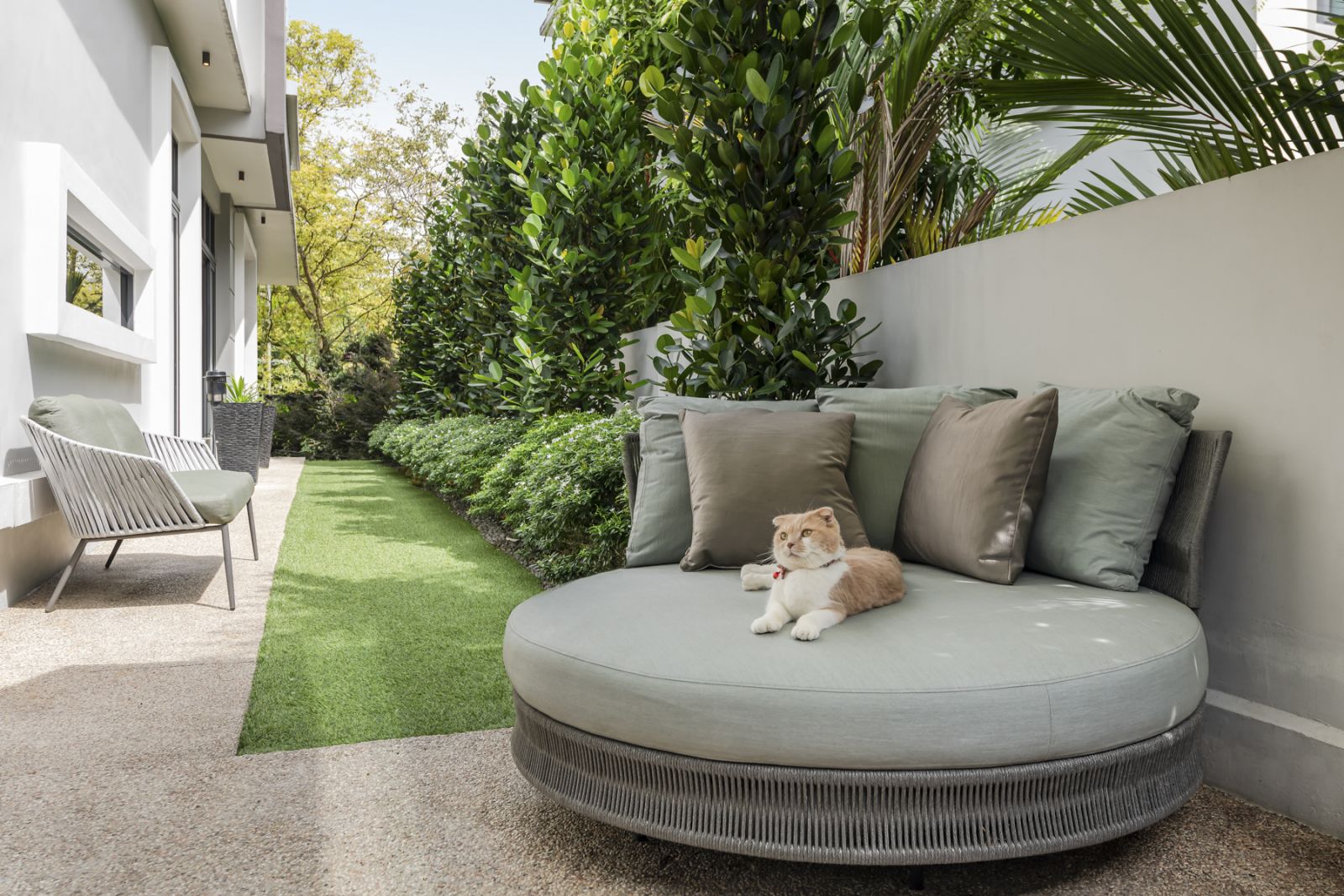 Tigo the cat enjoys the King Living Delta Outdoor Circle sofa