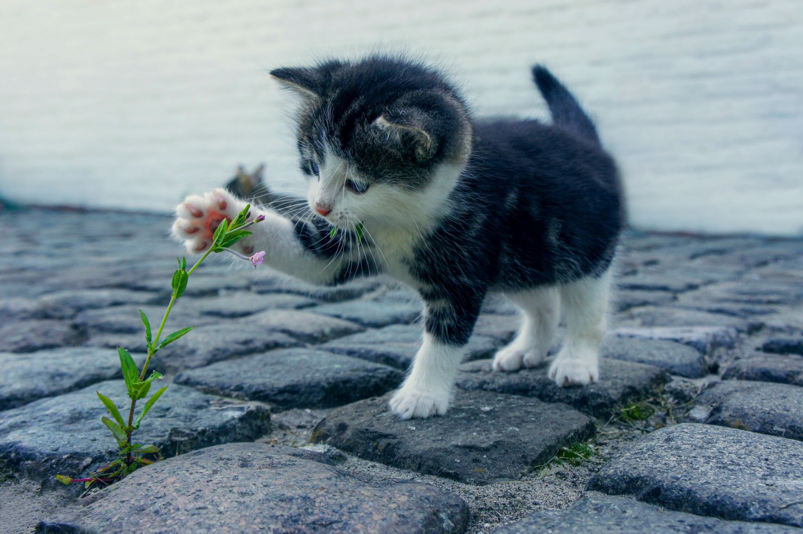 Photo:Unsplash