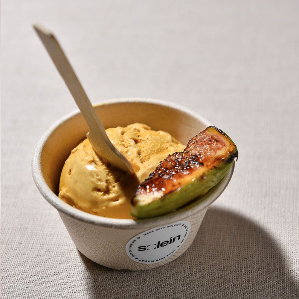 Solein ice cream with figs and fig vincotto