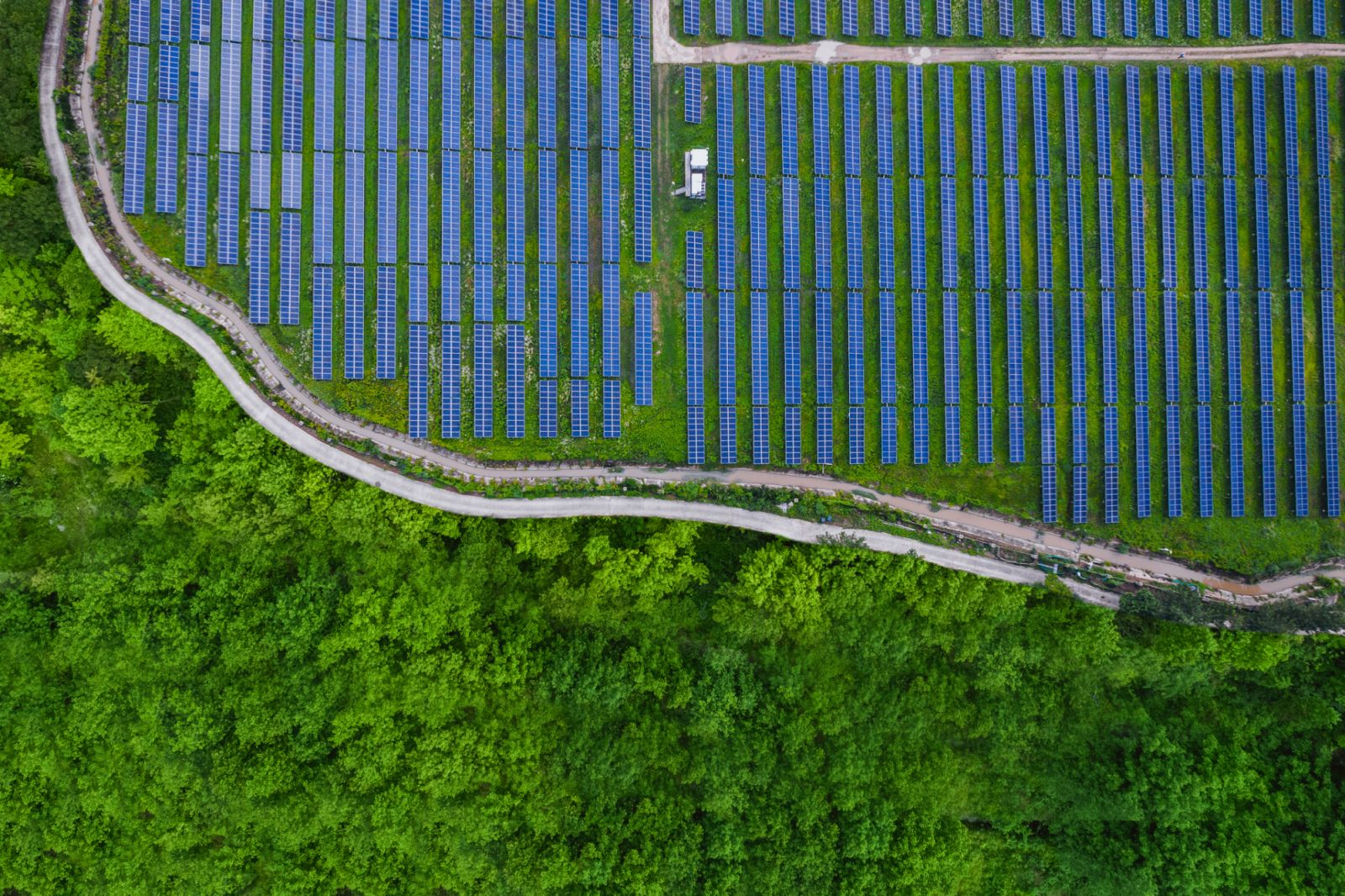 winding road in the forest,aerial view from above