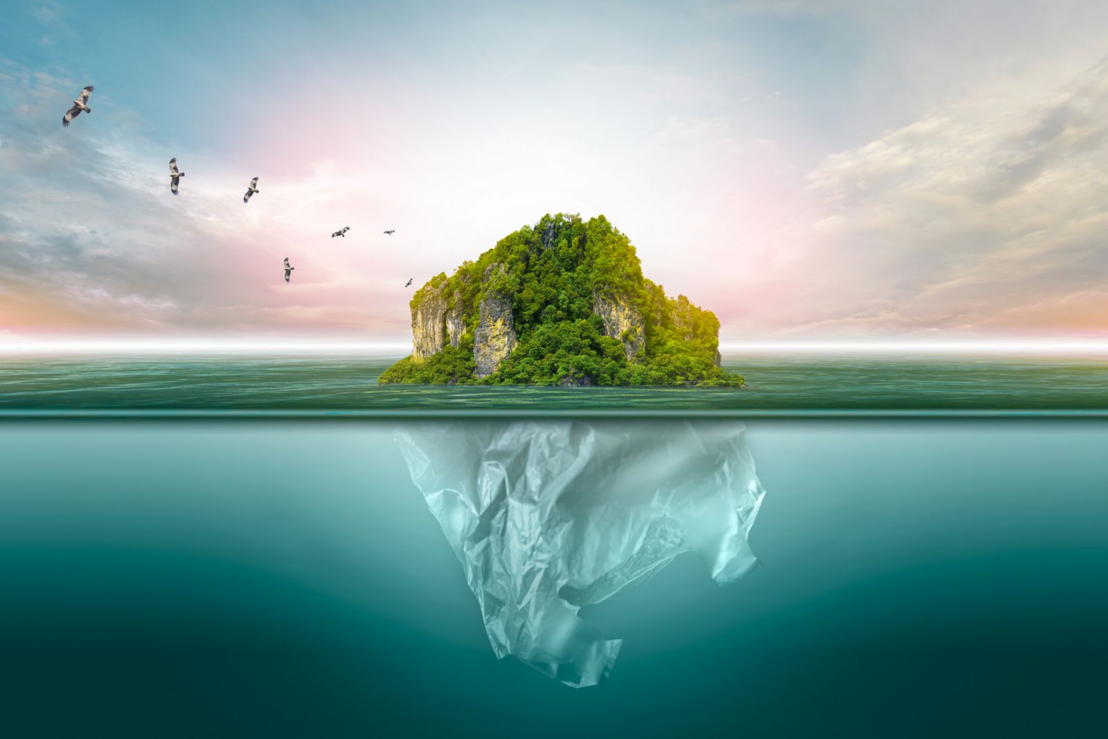 Plastic pollution in marine environmental problems Animals in the sea cannot live. And cause plastic pollution in the ocean (Environmental concept)