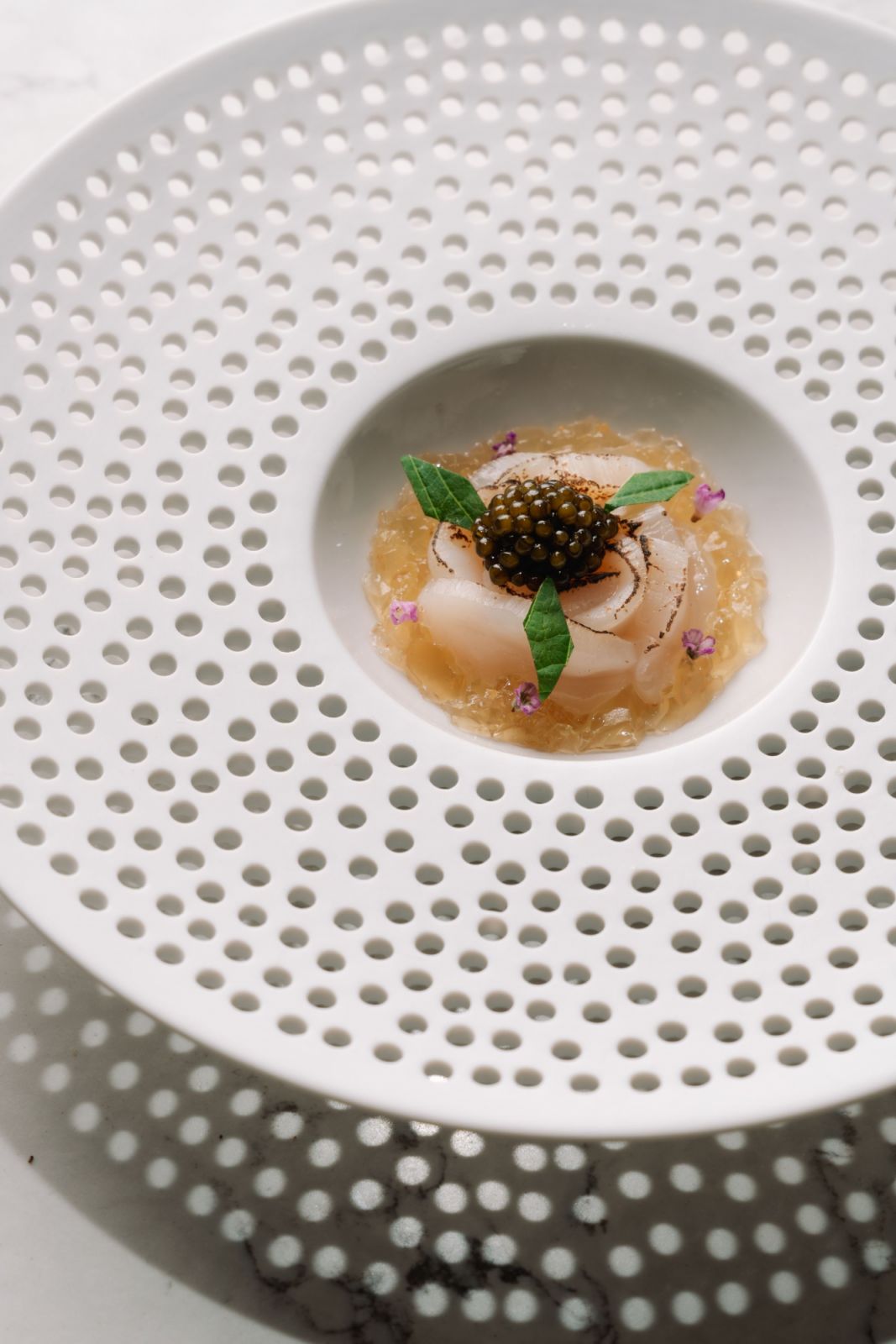Scallop (Photo: Hide KL)