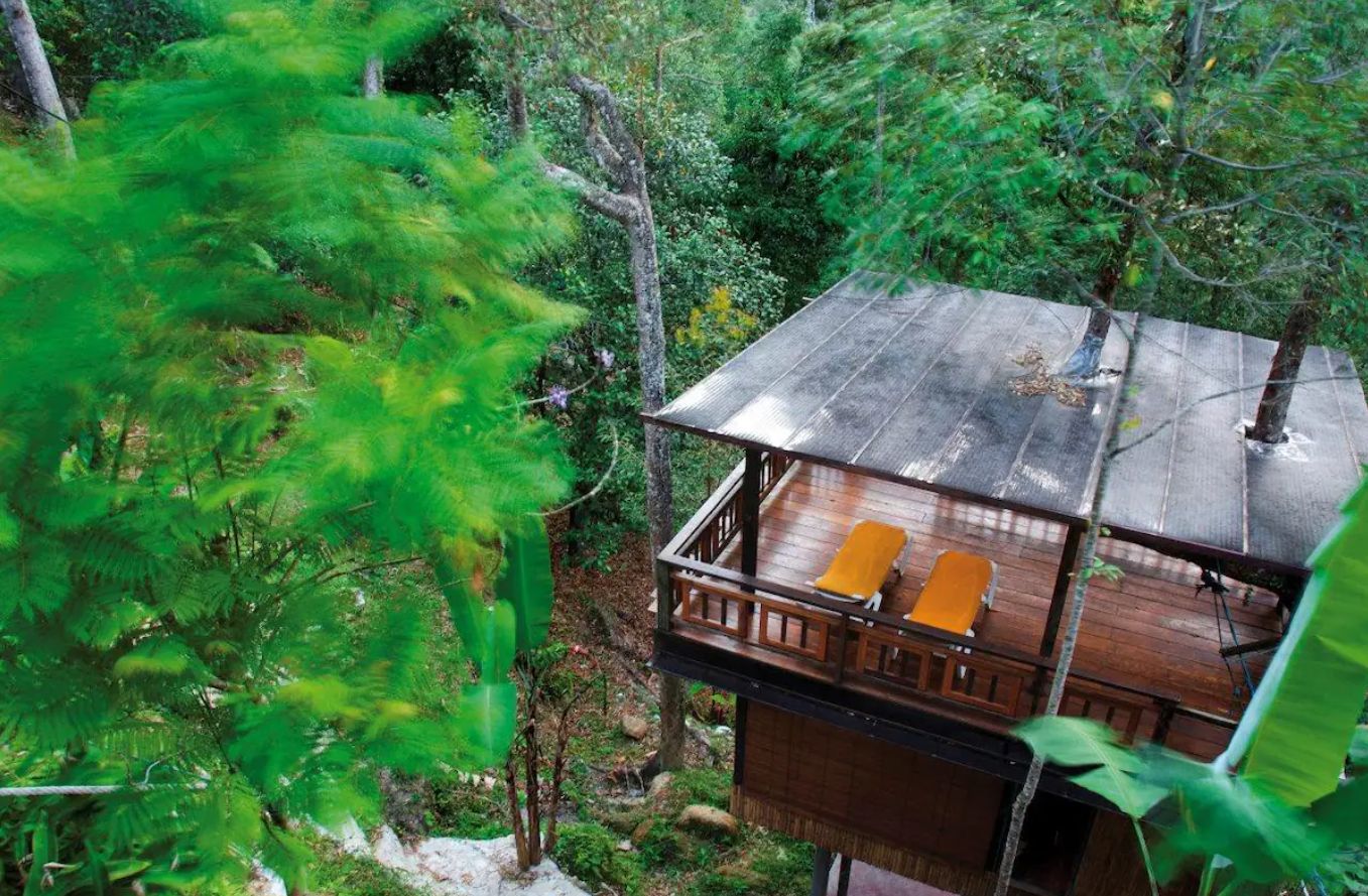 The Durian Treehouse: a two-storey, open air treehouse is designed around an 80-year-old durian tree