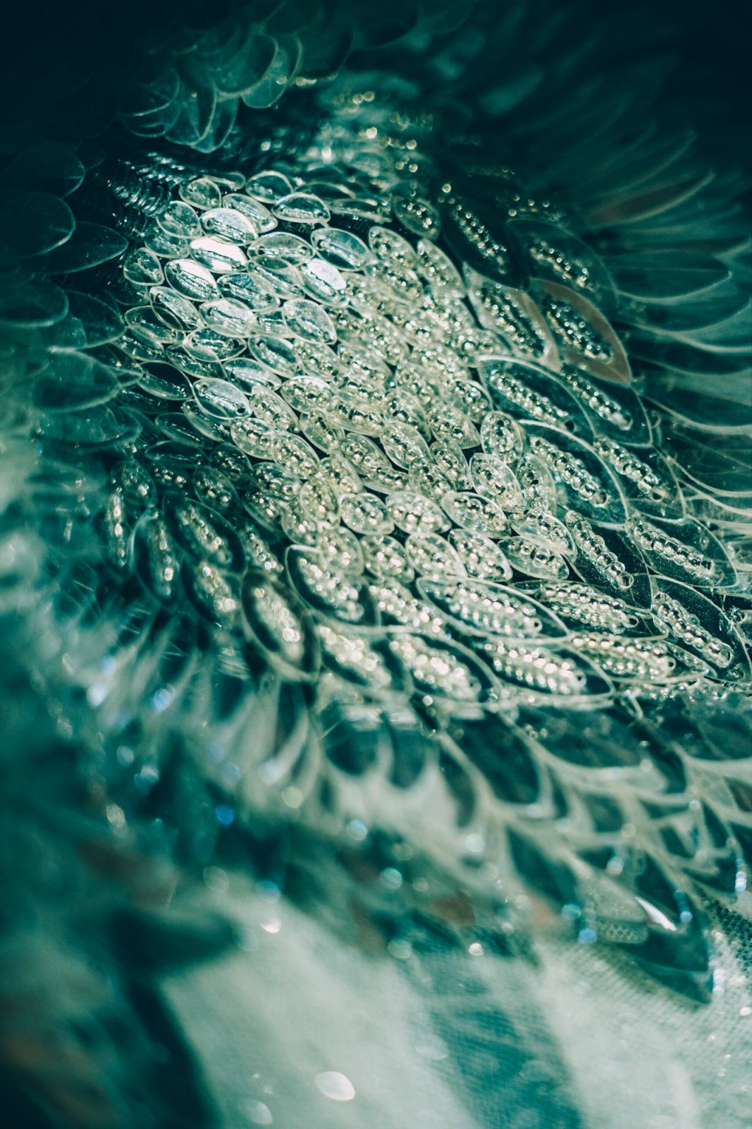 Intricate sequin details (Photo: courtesy of Athul Prasad)