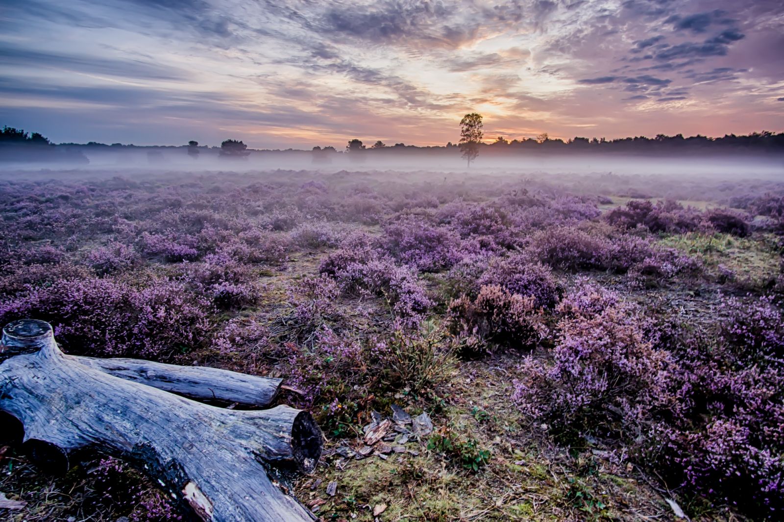 Photo:Unsplash