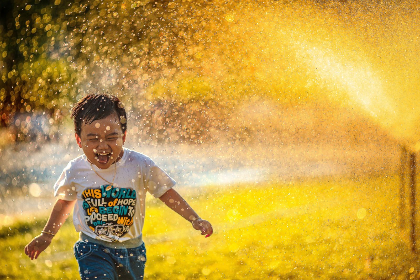 Photo:Unsplash