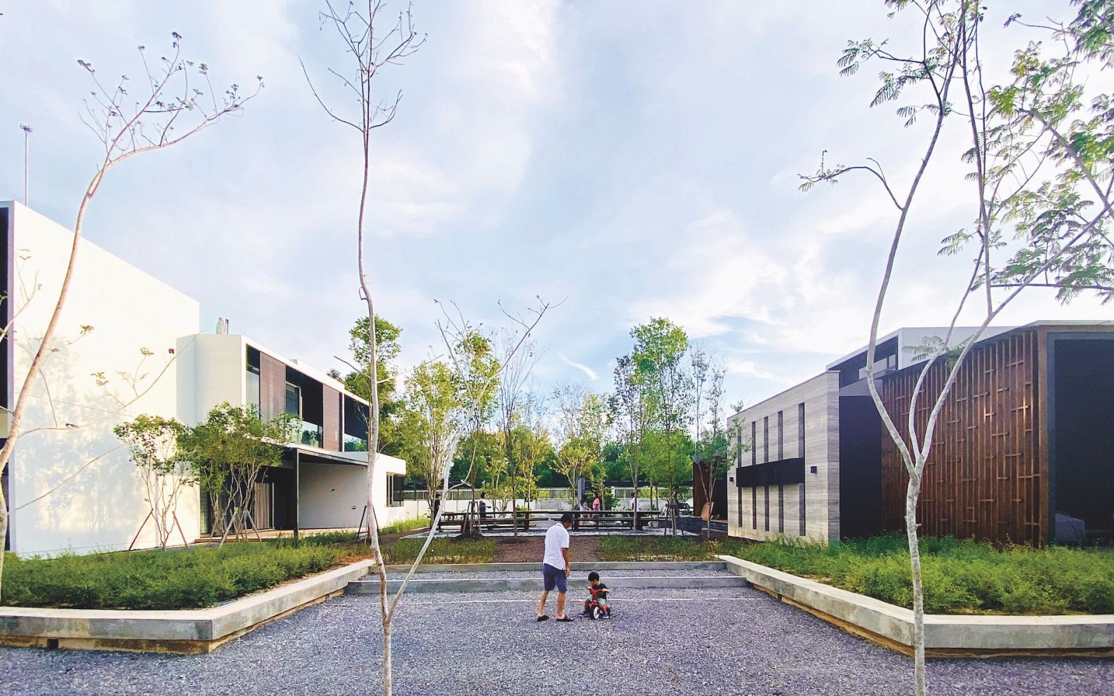 Miri houses by Design Network Architects (Kevin Chan Photography)