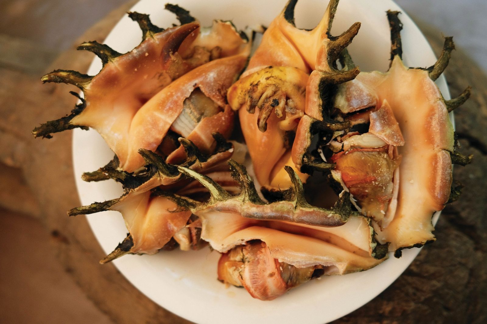 Erwan Heussaff - Heussaff is always game to search, harvest and sample regional specialities and lesser-known delicacies