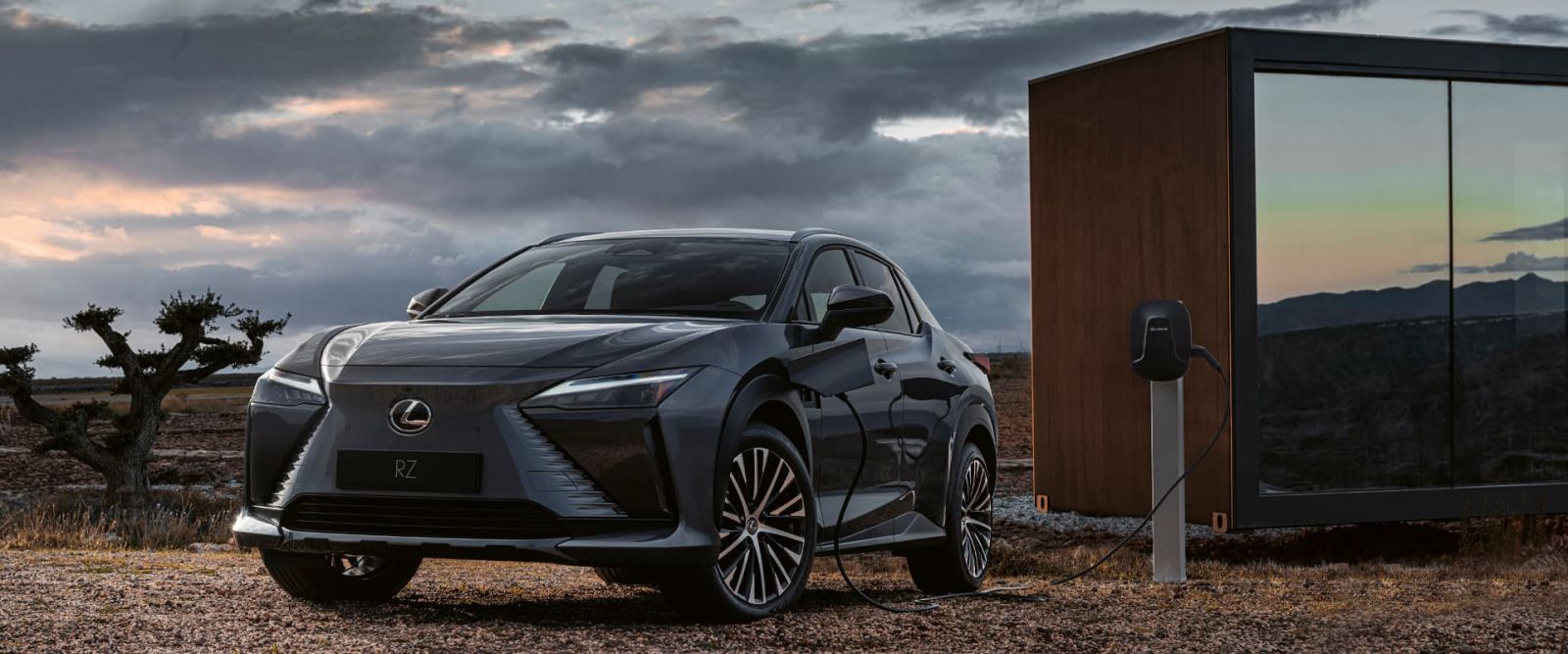 Lexus RZ (Photo: Lexus)
