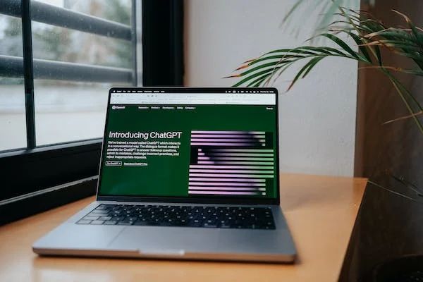 Chat GPT (Photo: Hatice Baran/Pexels)