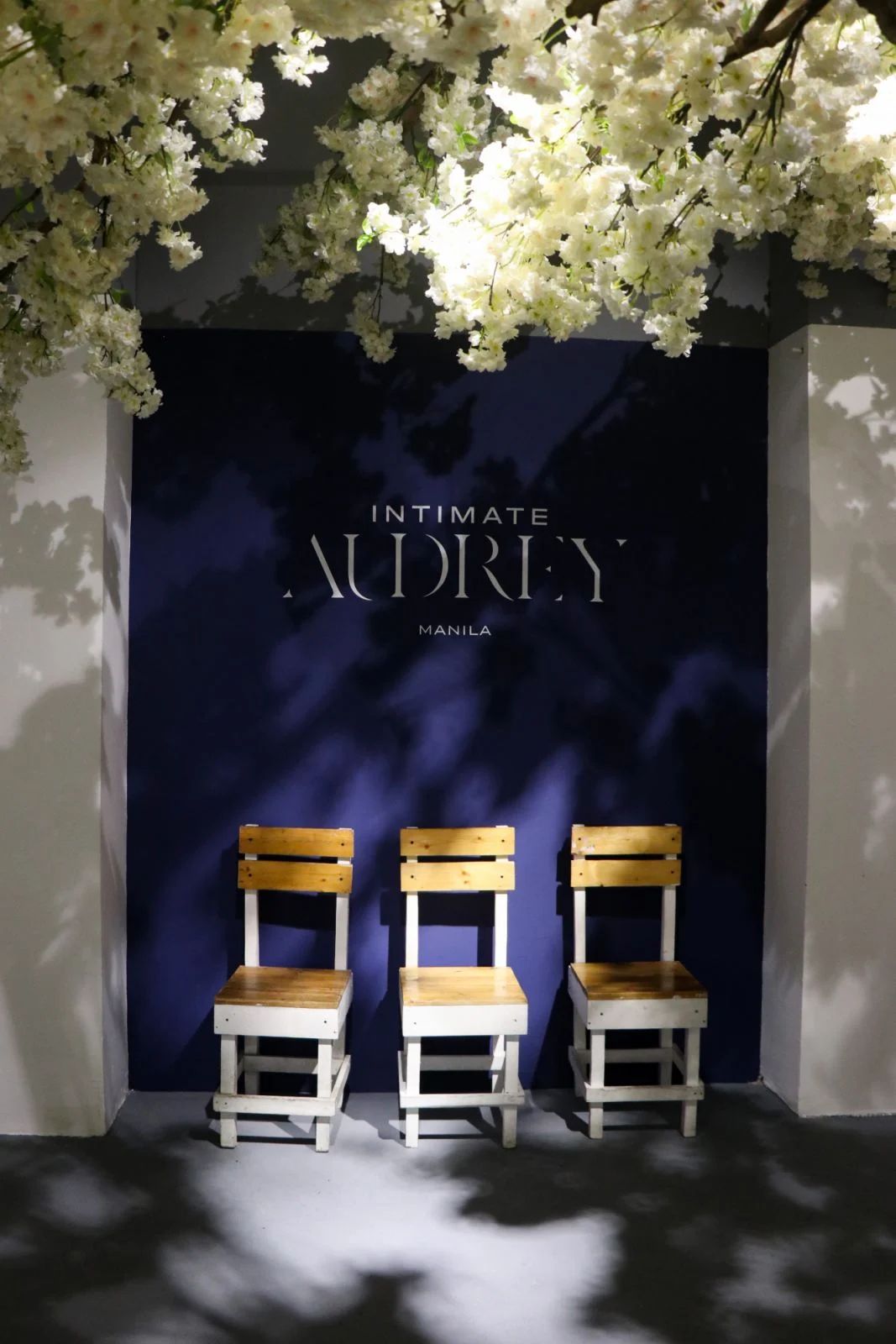 The 'Intimate Audrey' Exhibit