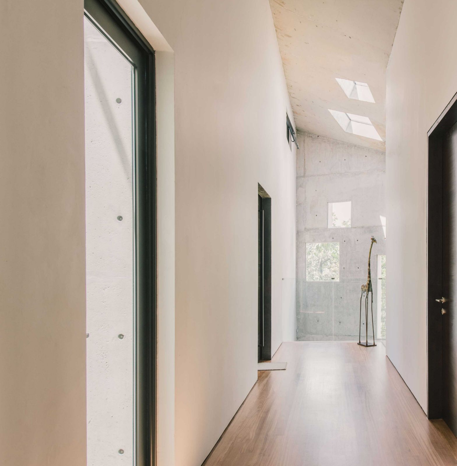 Natural light streams in