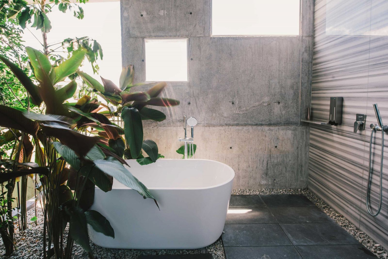 Concrete finishing in the bathroom softened by plants