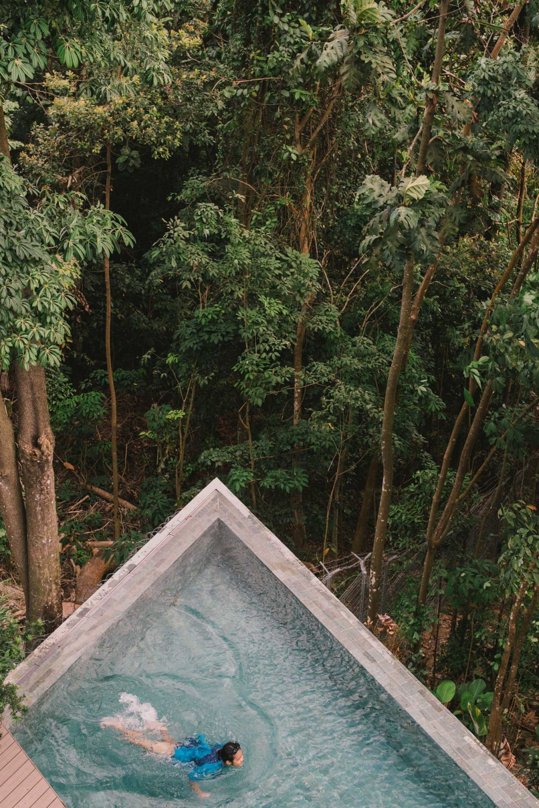 Forest bathing