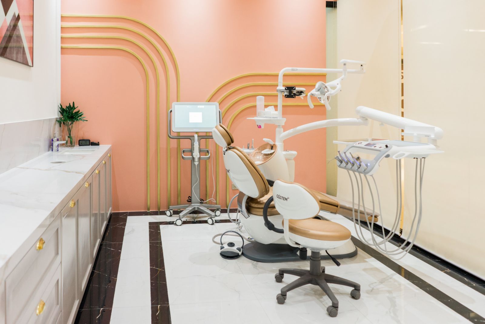 Coral Room (Photo: Courtesy of Elevate Dental)