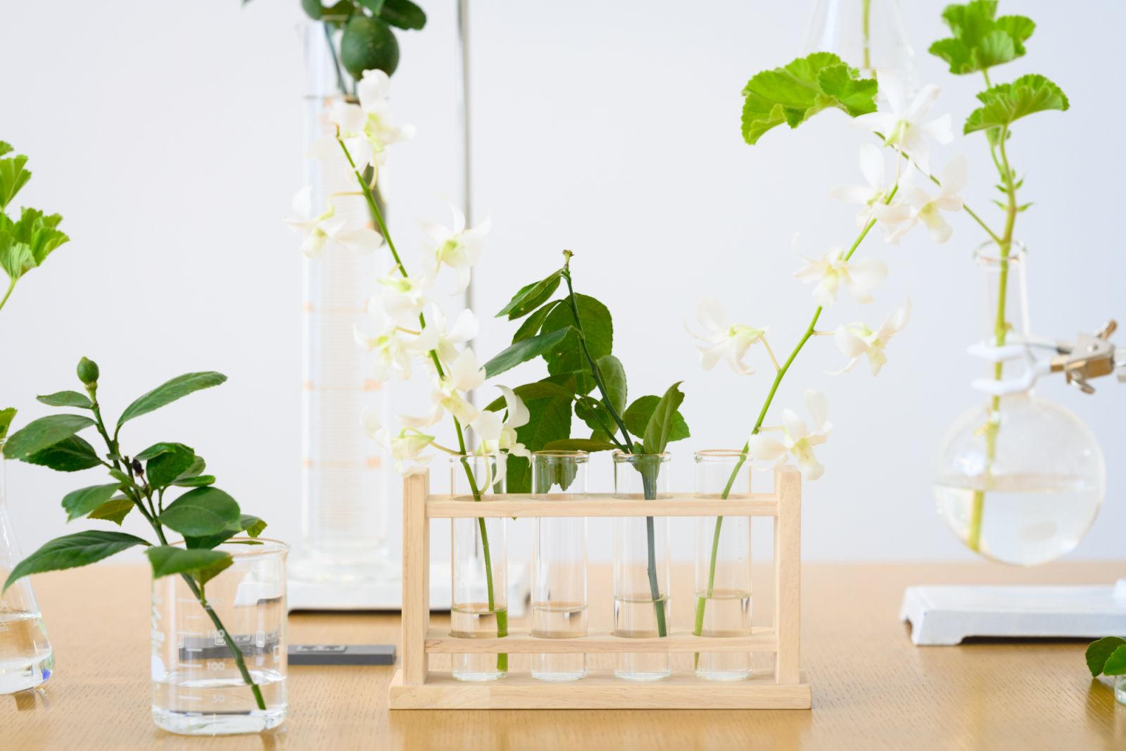 Scent testing with CPB