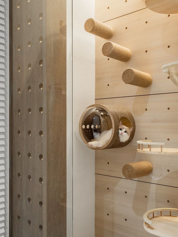 Little details designed just for the cats (Photo: The Space Storyteller)