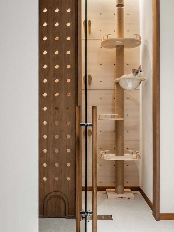 The cat playroom (Photo: The Space Storyteller)