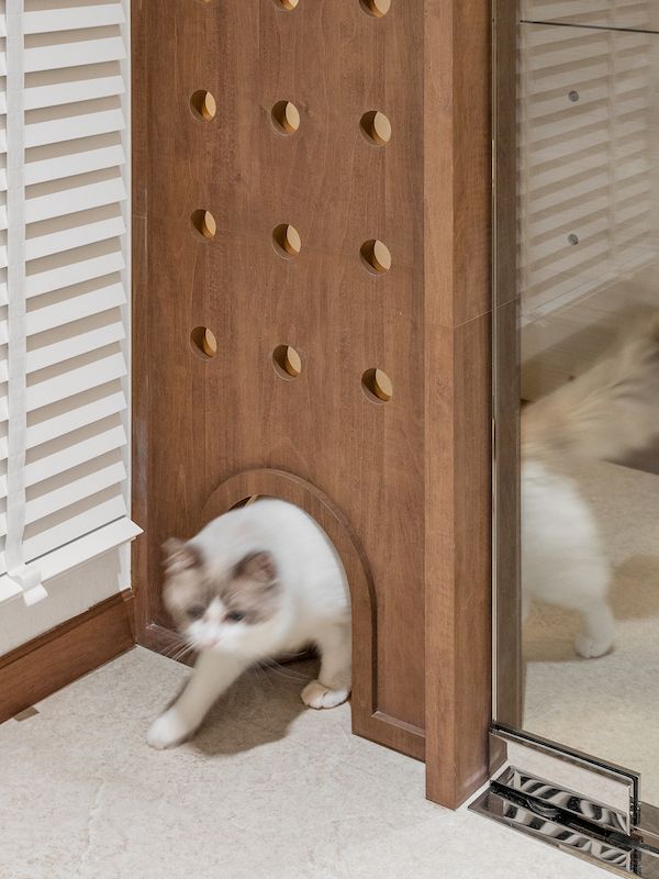 Little details designed just for the cats (Photo: The Space Storyteller)