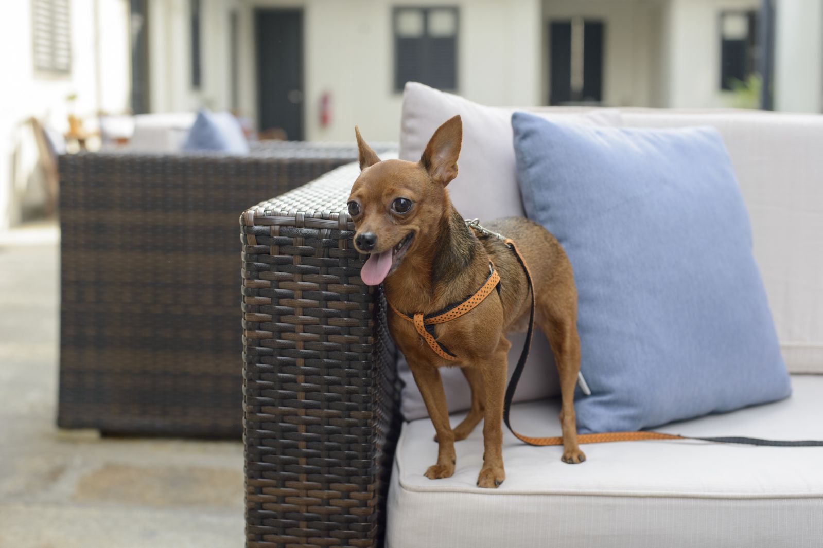 Lounging by the pool