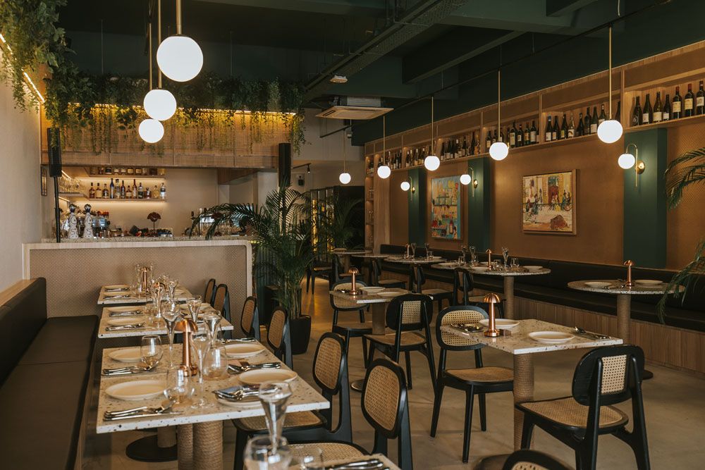 Salt & Palm interior