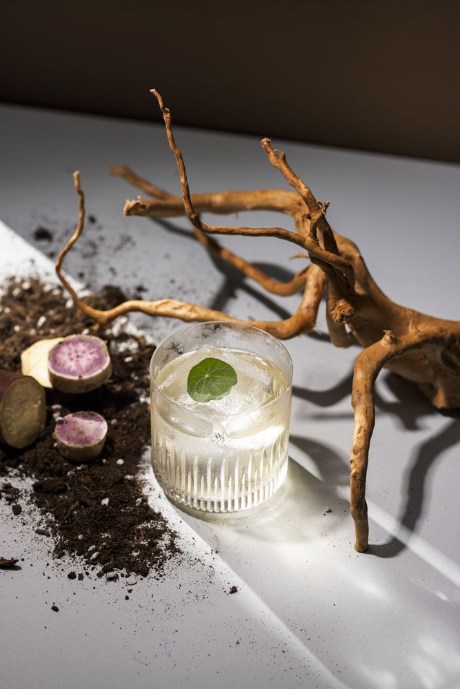 The Aubrey's signature cocktail, Satsuma Harmony (Photo: Mike Pickles)