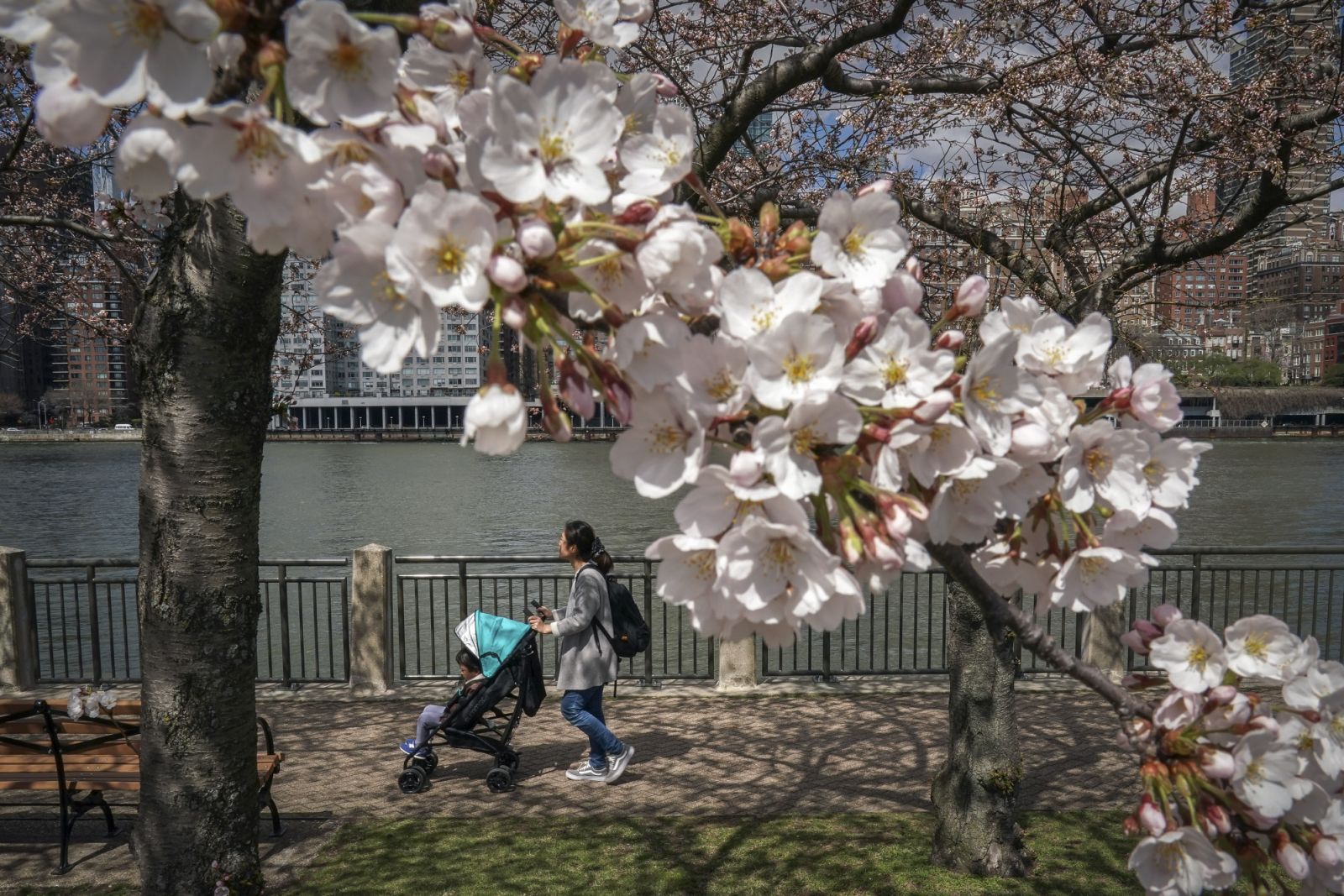 (Photo: Getty Images)