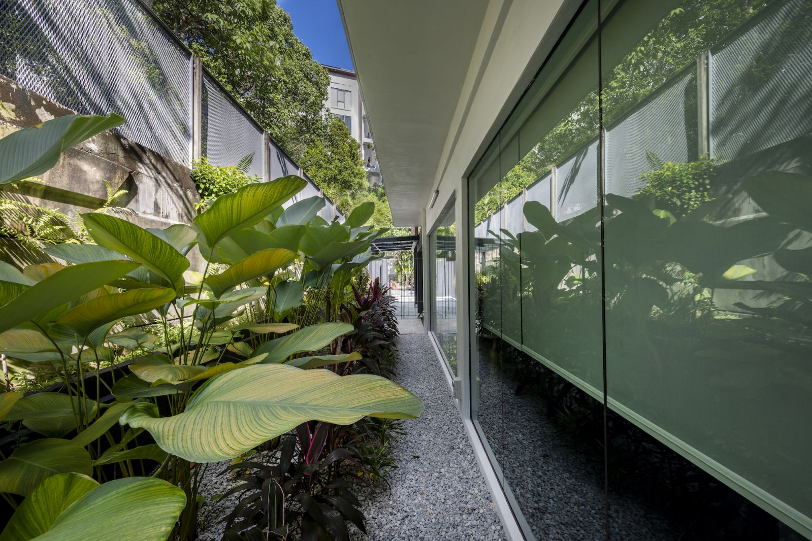 Linear garden
