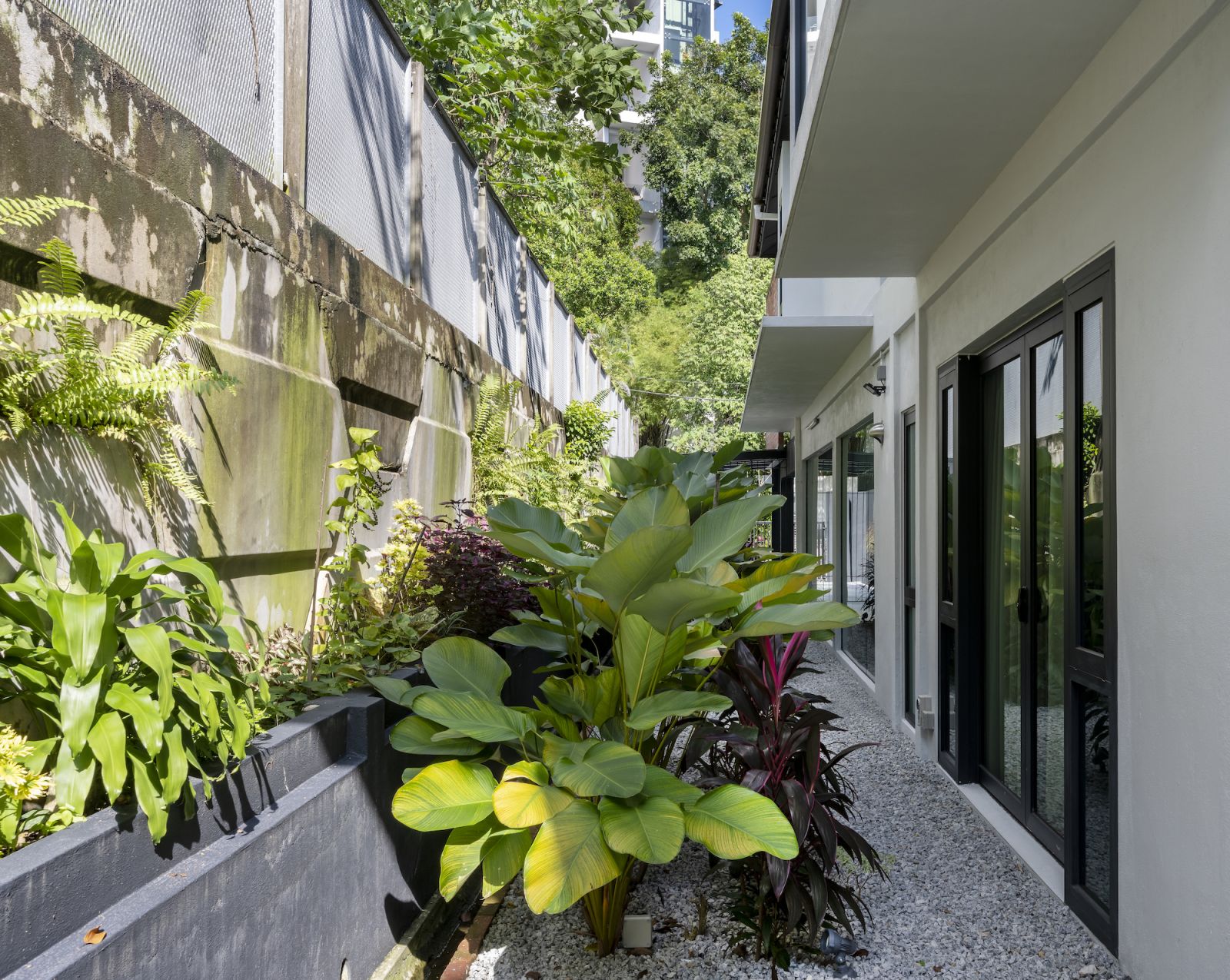 Linear garden