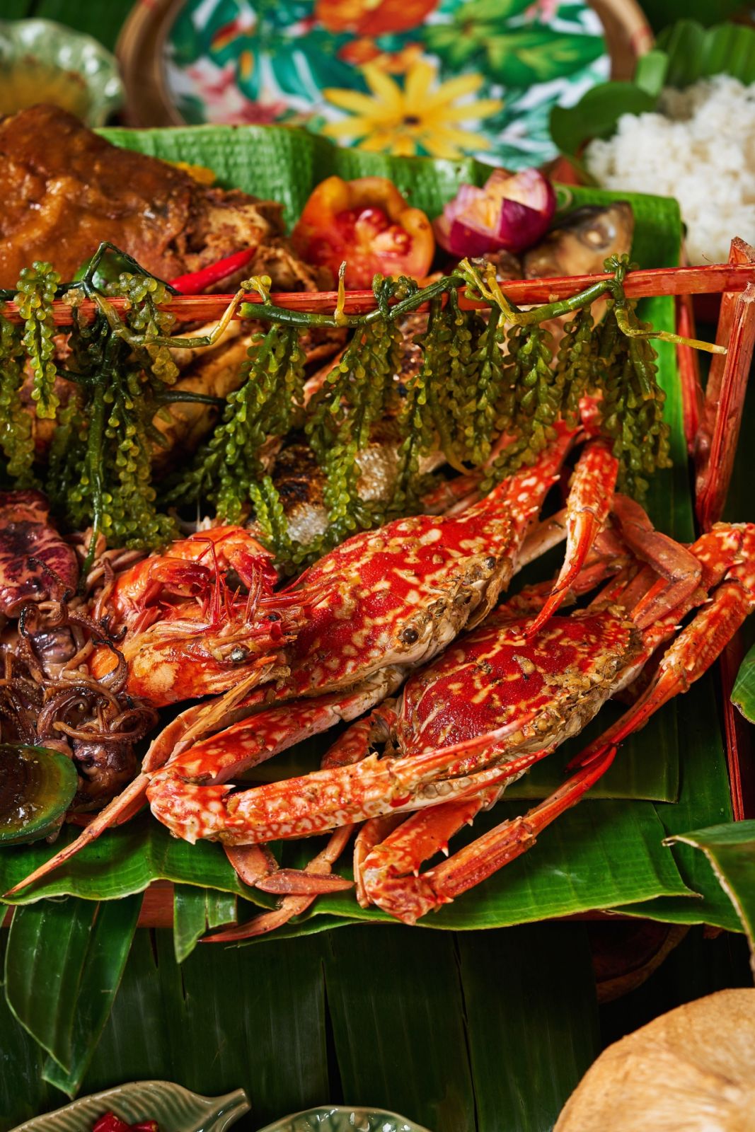 Tatler Homes Boodle Fight