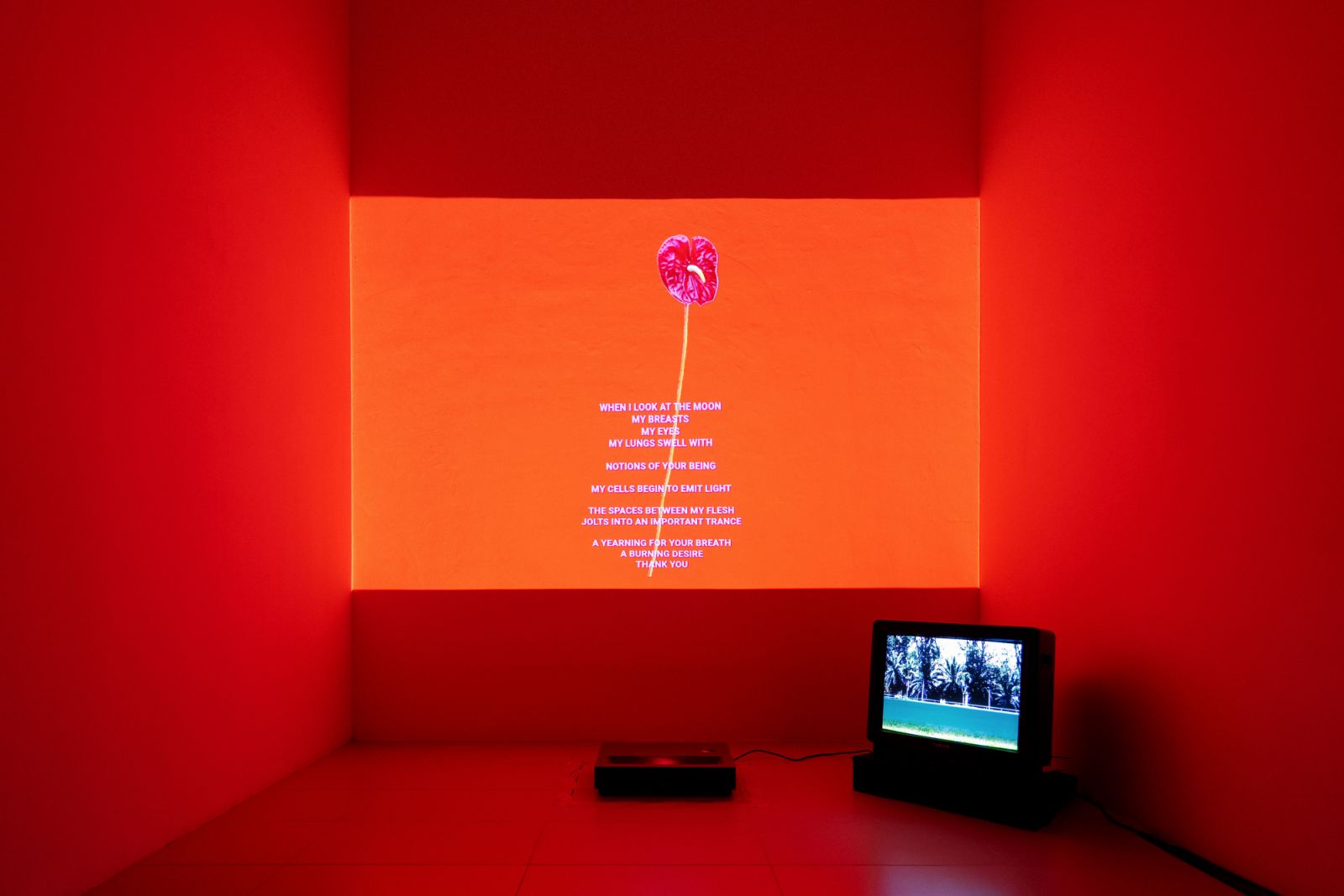 Exposure+ Photo Festival media launch (Photo: Sabrina Zainuddin/All is Amazing)