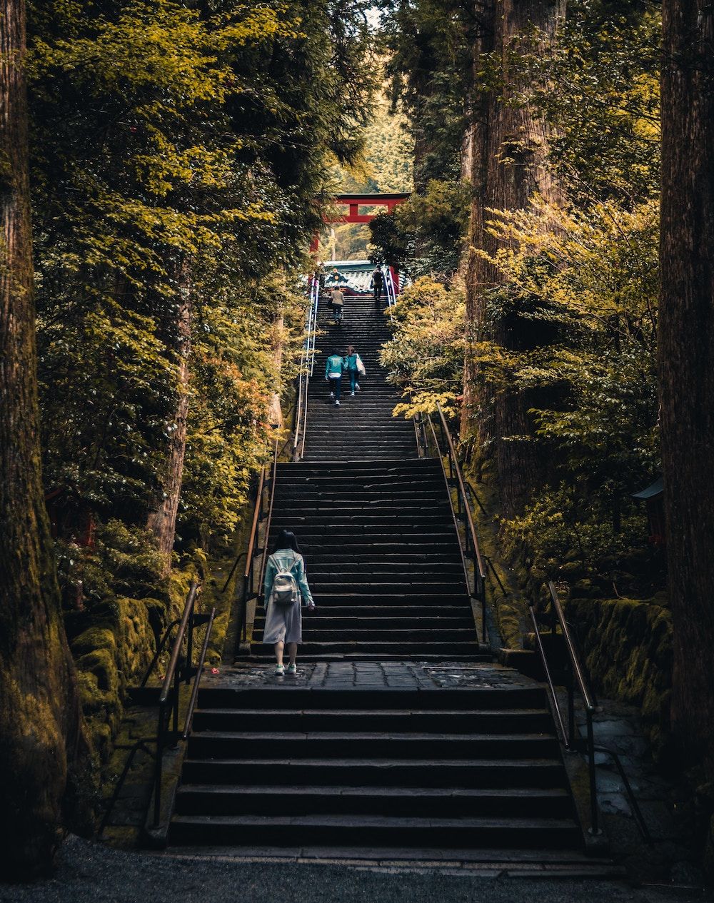 Photo:Chris Chan on Unsplash