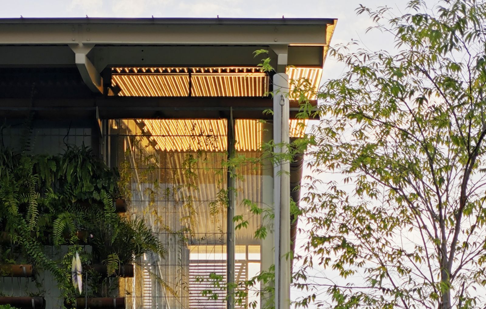 A light steel frame lattice wraps around the existing concrete frame